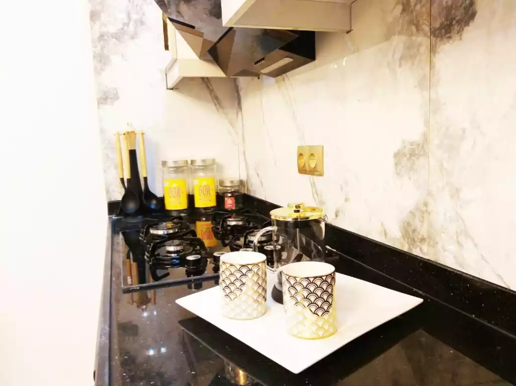 2+1 Apartment in Beylikduzu (type 1)