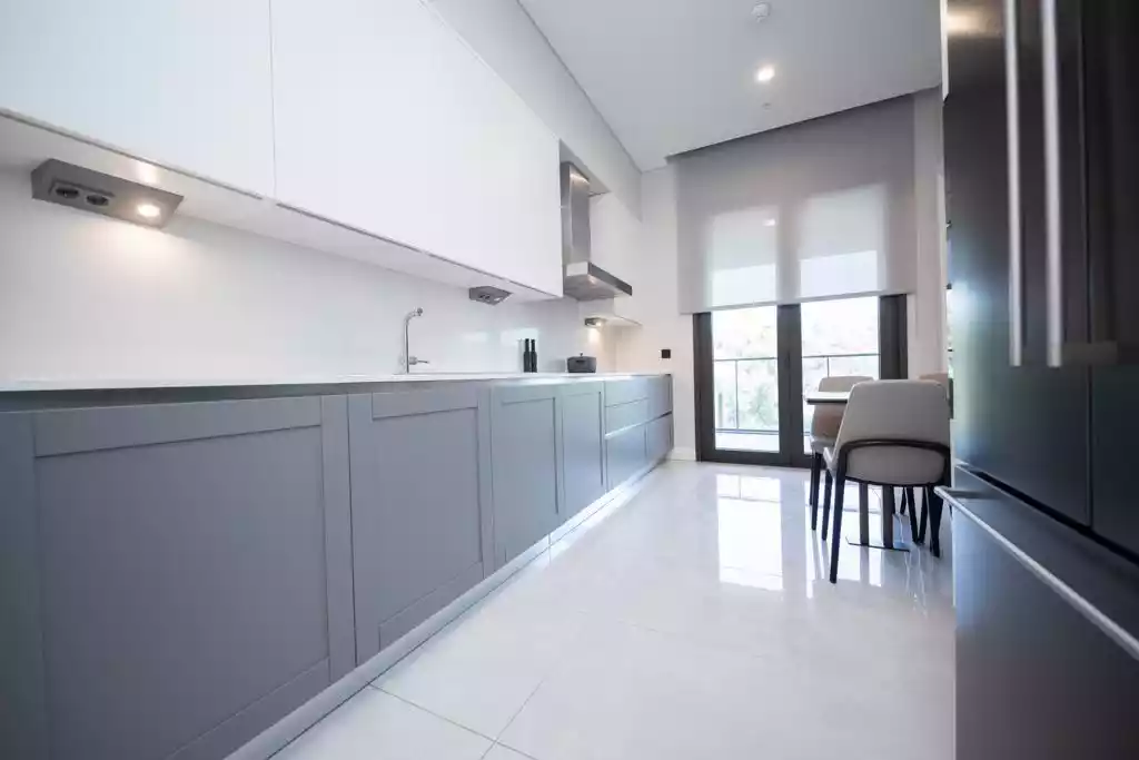 4+1 apartment in Kagithane