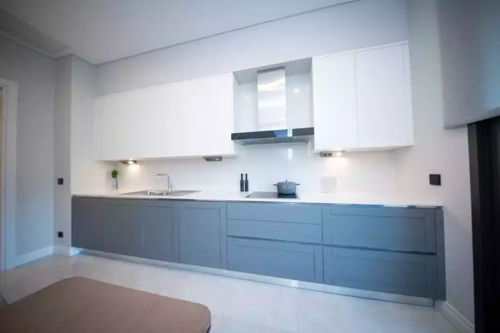 4+1 apartment in Kagithane